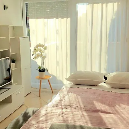 Appartement Cozy With Free Private Parking
